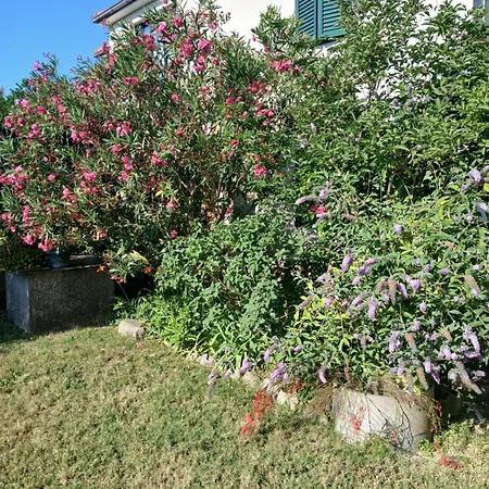 Mira Kastela