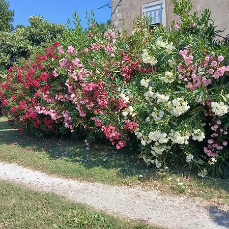 Mira Apartamento Kaštela